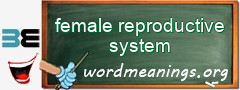 WordMeaning blackboard for female reproductive system